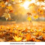 探索尊尚平台的独特购物体验与服务优势 22g6i6