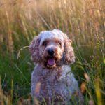 探索星空体育下载的优势,畅享多元化体育娱乐内容 k1qqu8wb