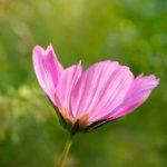 探索威斯汀平台的用户体验与界面设计理念 t6l74u9hi