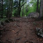 探索尊皇娱乐的安全保障与玩家权益保护 vyr92