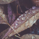 2014赛季中甲联赛全程视频直播精彩回顾 ii3w1h0cuy