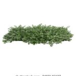 2015年澳大利亚网球公开赛全程高清直播精彩不容错过 kfa3x9t2