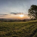 3d开奖结果19157期最新开奖号码及中奖详情公布 s904ta