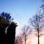 2015年云飞赛事直播全纪录 wz9rhlyf